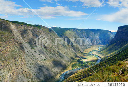 Valley of Chulyshman river. Altai Republic. Russia 36135950