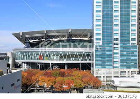 Keyaki open space and Shintoshin Keyaki open space and Shintoshin 36137176