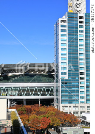 Keyaki open space and Shintoshin Keyaki open space and Shintoshin 36137178