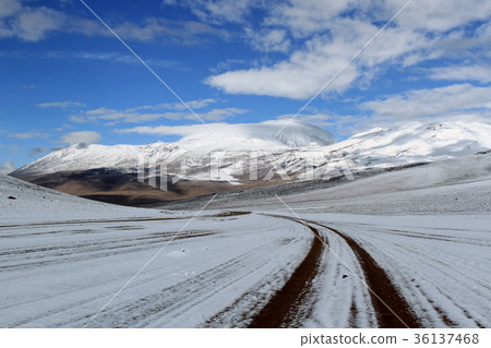 Atacama Drive 36137468