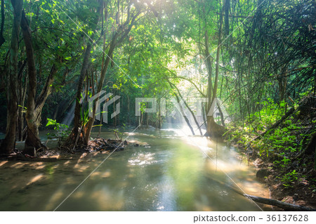 Sunlight shine in waterfall tropical rainforest Sunlight shine in waterfall tropical rainforest 36137628