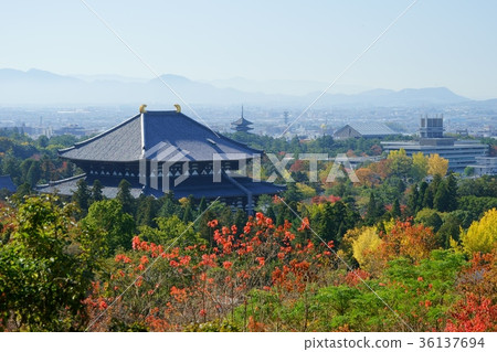 Todai-ji Temple 5 in autumn and morning mist Todai-ji Temple 5 in autumn and morning mist 36137694