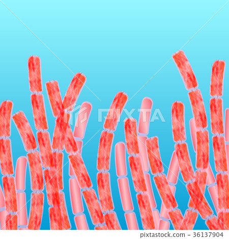 multicellular organism algae multicellular organism algae 36137904