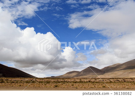 Atacama Drive 36138082