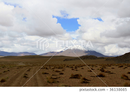 Atacama Drive 36138085