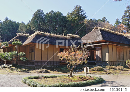 Nishiyamaso在秋天 Nishiyamaso在秋天 36139145