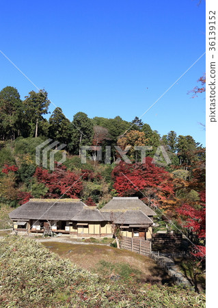 Nishiyamaso在秋天 36139152
