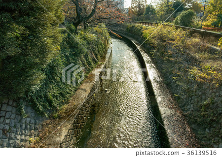 Philosopy Park 36139516