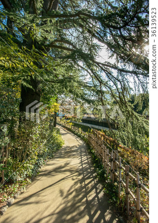 Philosopy Park 36139523