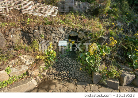 Philosopy Park 36139528