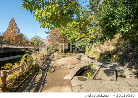 Philosopy Park 36139536