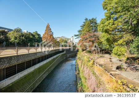 Philosopy Park 36139537