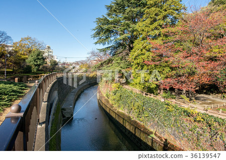 Philosopy Park 36139547