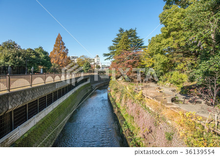 東京中野區和新宿區鐵學堂公園 36139554