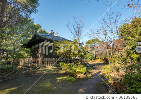 Tetsugakudou Park in Nakano-ku and Shinjuku-ku, Tokyo 36139563