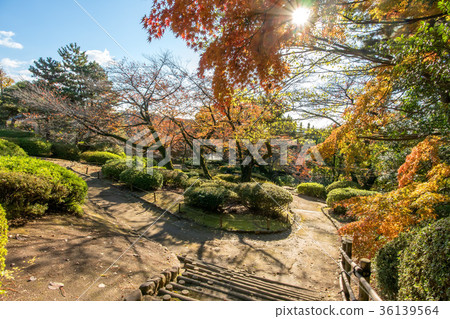 Philosopy Park 36139564