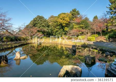 Tetsugakudou Park in Nakano-ku and Shinjuku-ku, Tokyo 36139571