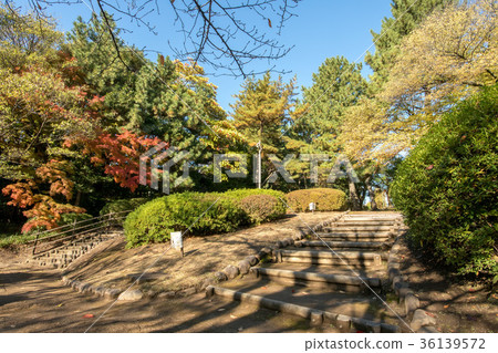 Philosopy Park 36139572