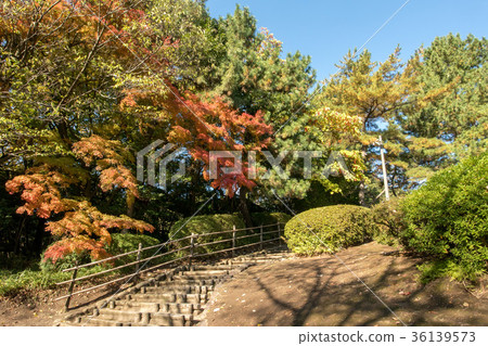 Philosopy Park 36139573