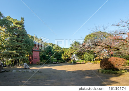 Philosopy Park 36139574