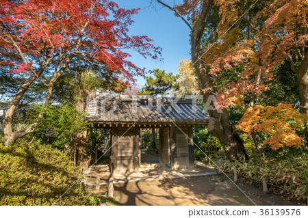 Tetsugakudo Park, Shinjuku, Tokyo 36139576