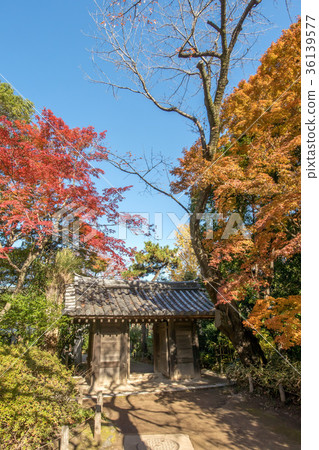 Philosophy Hall Park in Nakano-ku, Tokyo 36139577