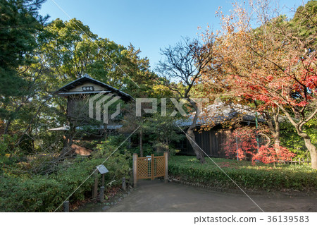 Philosopy Park 36139583