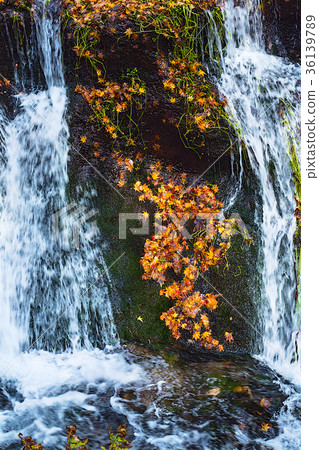 Karuizawa Shiraito Falls 36139789
