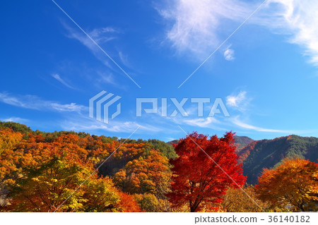 Lake Momiji Autumn leaves 36140182