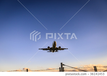 Airplane twilight sky 36141453