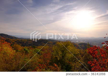 奈良盆地(奈良市博之寺町)的夜景 奈良盆地(奈良市博之寺町)的夜景 36141898