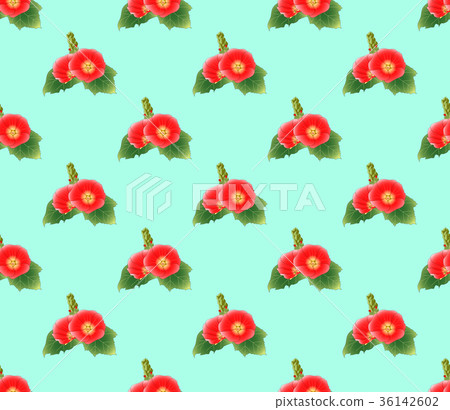 Red Hollyhock on Green Mint Background 36142602
