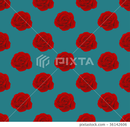 Red Rose on Seamless Blue Teal Background 36142606