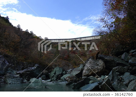 Sanwa Ishido秋葉 36142760