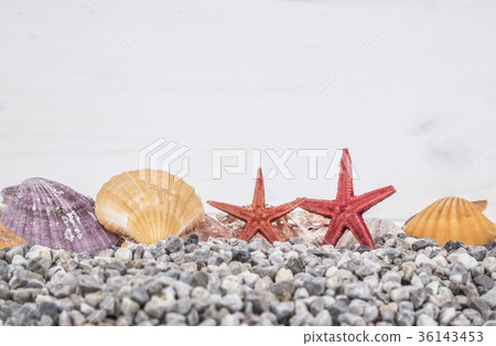 Summer background with seashells 36143453