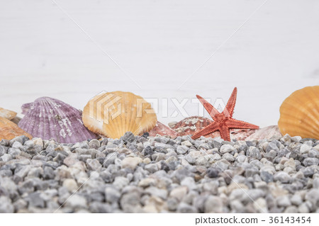 Summer background with seashells 36143454