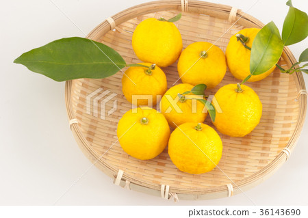 香櫞 香櫞 36143690