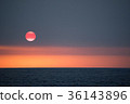 夕陽 海洋 36143896