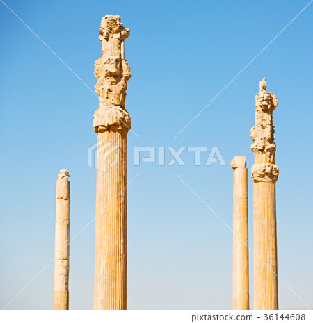 in iran persepolis in iran persepolis 36144608