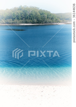 tourism tree and relax in the paradise 36144636