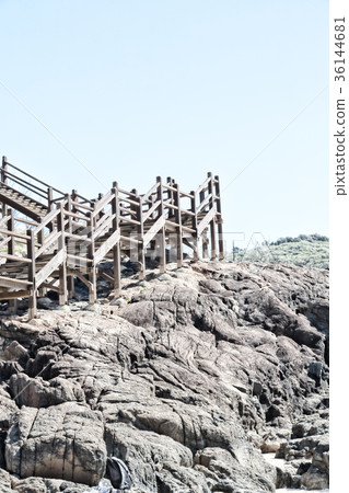 in australia  the  walkway to the beach 36144681