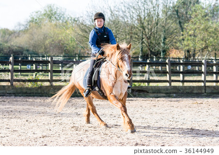 騎一匹白色和棕色印刷品馬的女孩 36144949