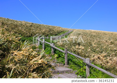 Kamui，Kuramaza草原，春天 36145231