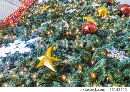 Christmas tree  36145323