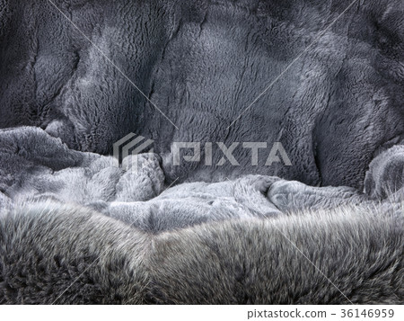Grey Fur 36146959
