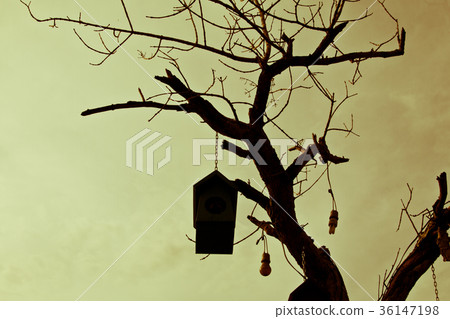 Colorful bird nest on the tree Colorful bird nest on the tree 36147198