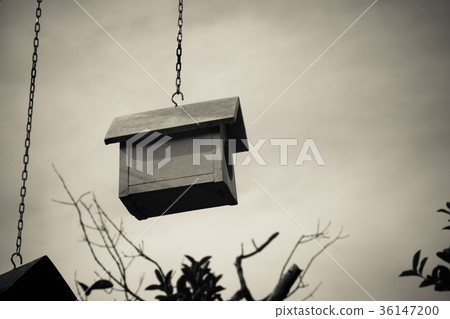 Colorful bird nest on the tree Colorful bird nest on the tree 36147200