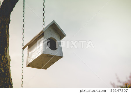 Colorful bird nest on the tree Colorful bird nest on the tree 36147207
