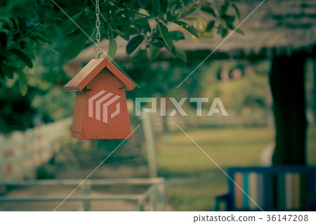 Colorful bird nest on the tree Colorful bird nest on the tree 36147208