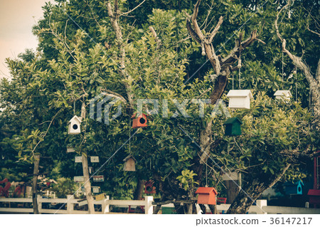 Colorful bird nest on the tree Colorful bird nest on the tree 36147217